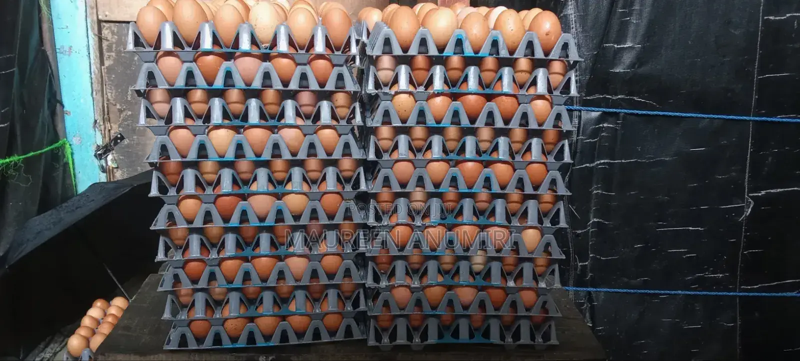 Big Fresh Farm Eggs