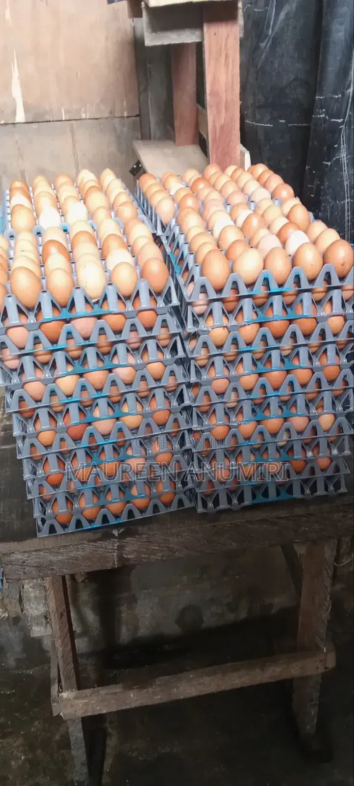 Big Fresh Farm Eggs