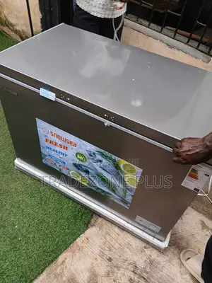 High-Capacity Snowsea 450L Freezer