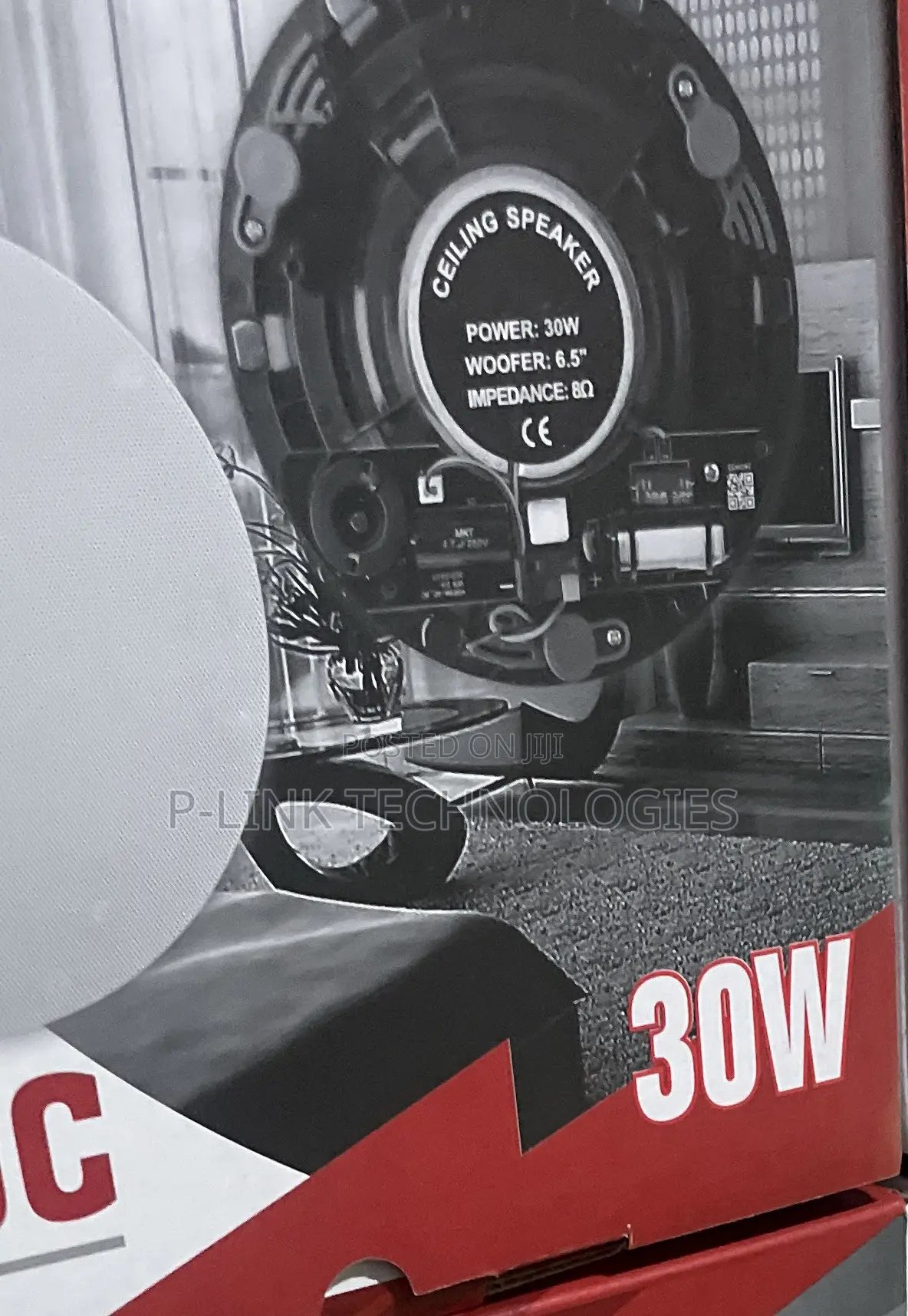 30w Ceiling Speaker