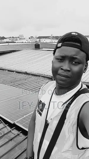 Solar Inverter Engineer