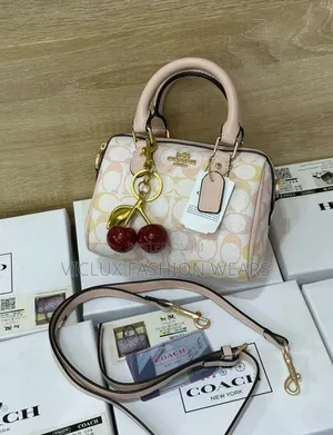 Coach Rowan Luxury Mini Bag