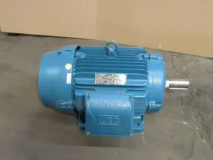 WEG Electric Motor