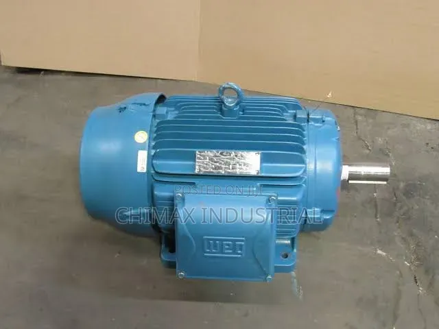WEG Electric Motor