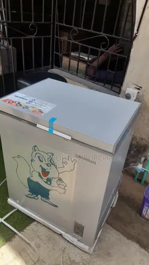 Skyrun BD180AI Deep Freezer – Brand New
