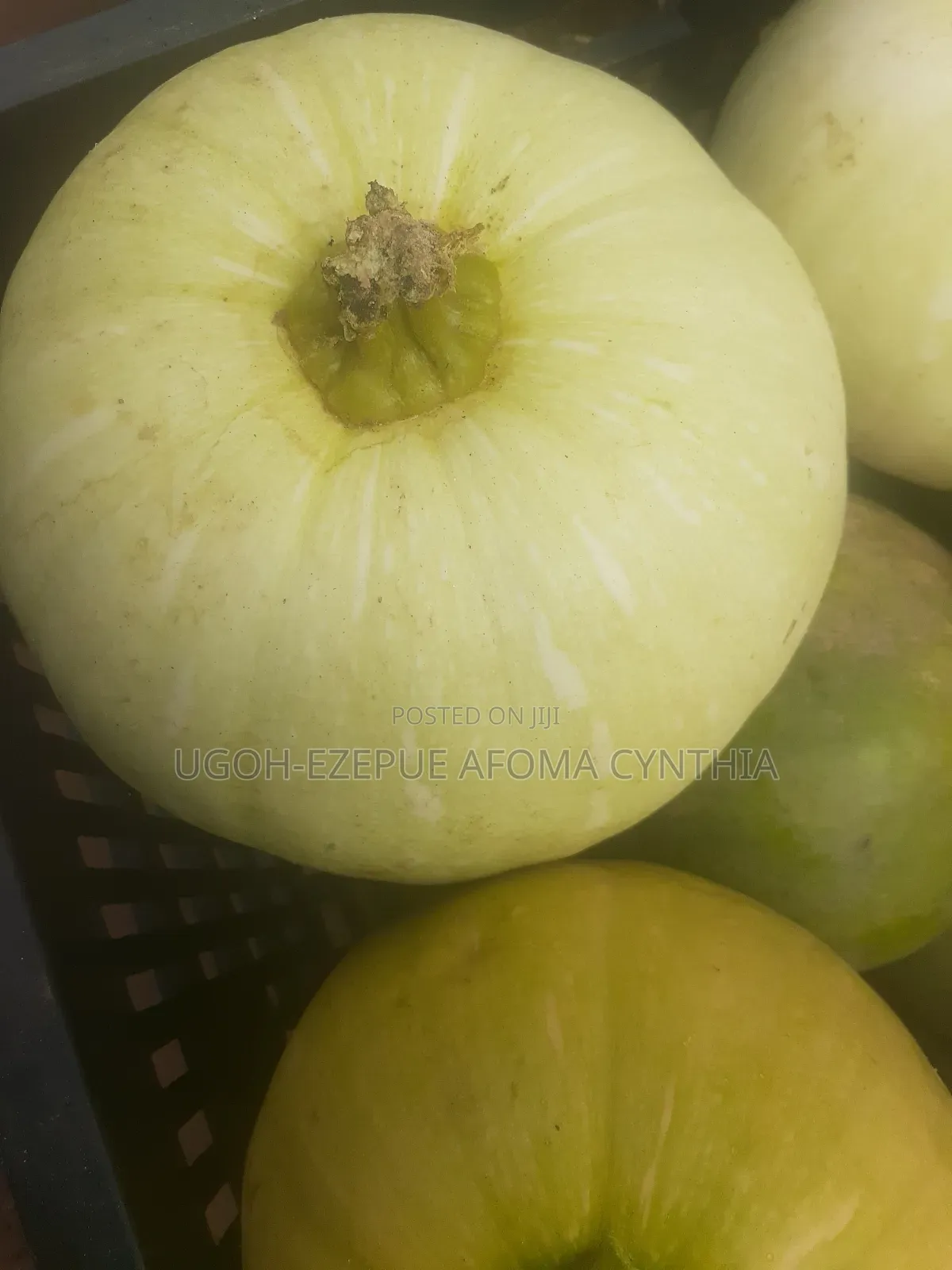 Pumpkin Fruit