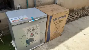 Skyrun BD180AI Freezer for Home Business