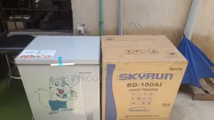 Skyrun BD180AI Commercial Chest Freezer – New