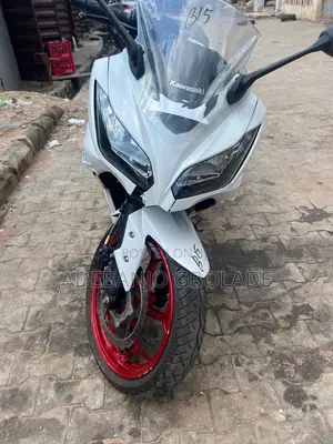 Kawasaki Ninja 300 2019 White