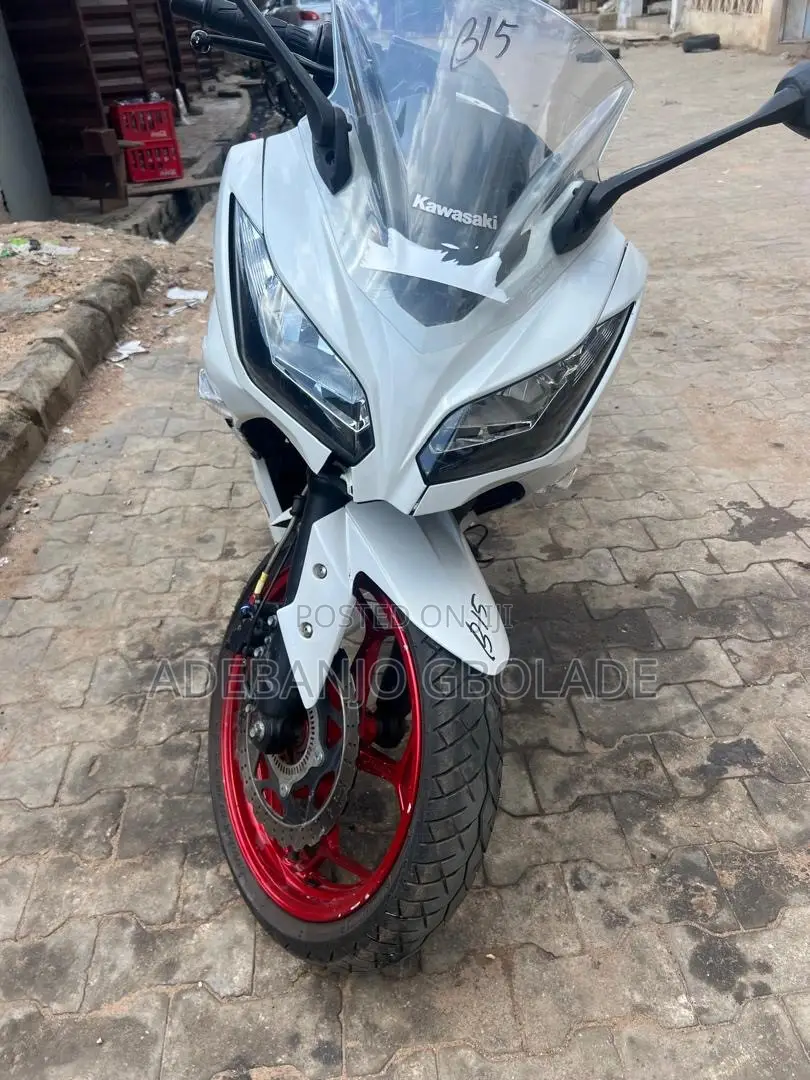 Kawasaki Ninja 300 2019 White