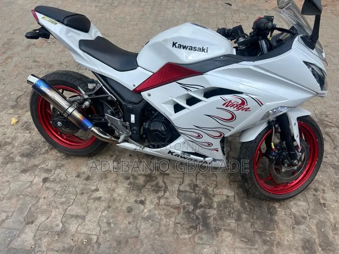 Kawasaki Ninja 300 2019 White