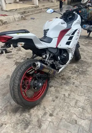 Kawasaki Ninja 300 2019 White