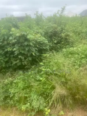 *100 Hectares Idu Land Plot Available for Sale
