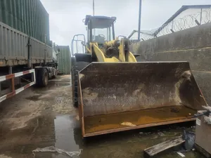 Slightly Used Payloader for Sale, Idu