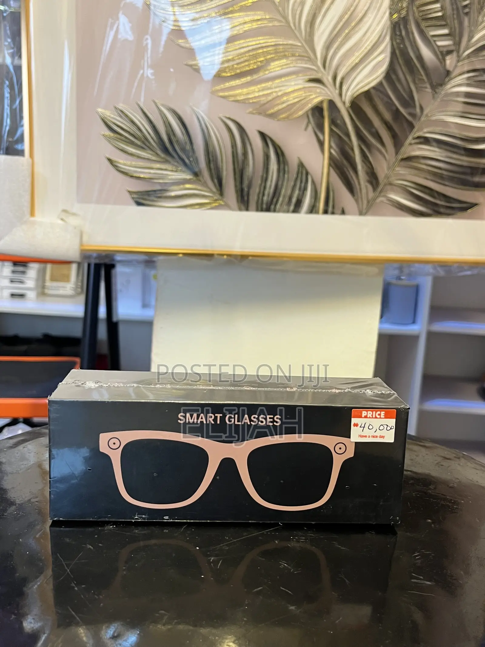 Smart Glasses