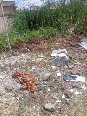 Half Plot of Land