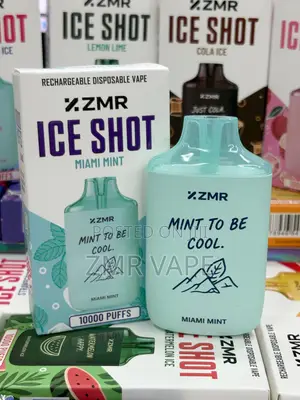 ZMR ICESHOT Miami Mint Rechargeable Disposable Vape – 10,000 Puffs
