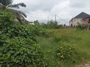 Half Plot of Virgin Land