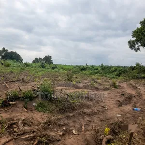 Plots and Acres of Land for Sale in Imegun, Epe.