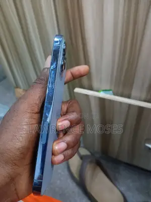 Apple iPhone 13 Pro Max 1 TB Blue