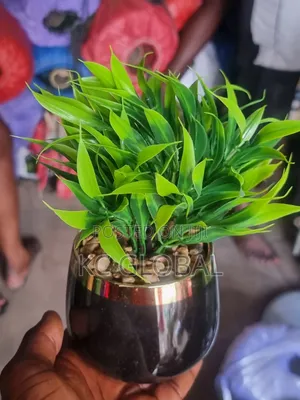 Table Cup Flower VLP