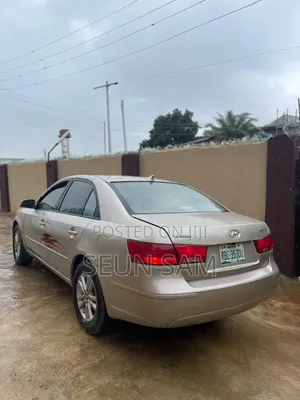 Hyundai Sonata 2008 Gold
