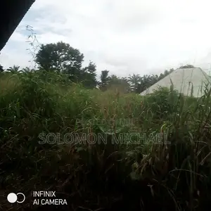 Half Plot of Land 50 by 50 Is in Site Last