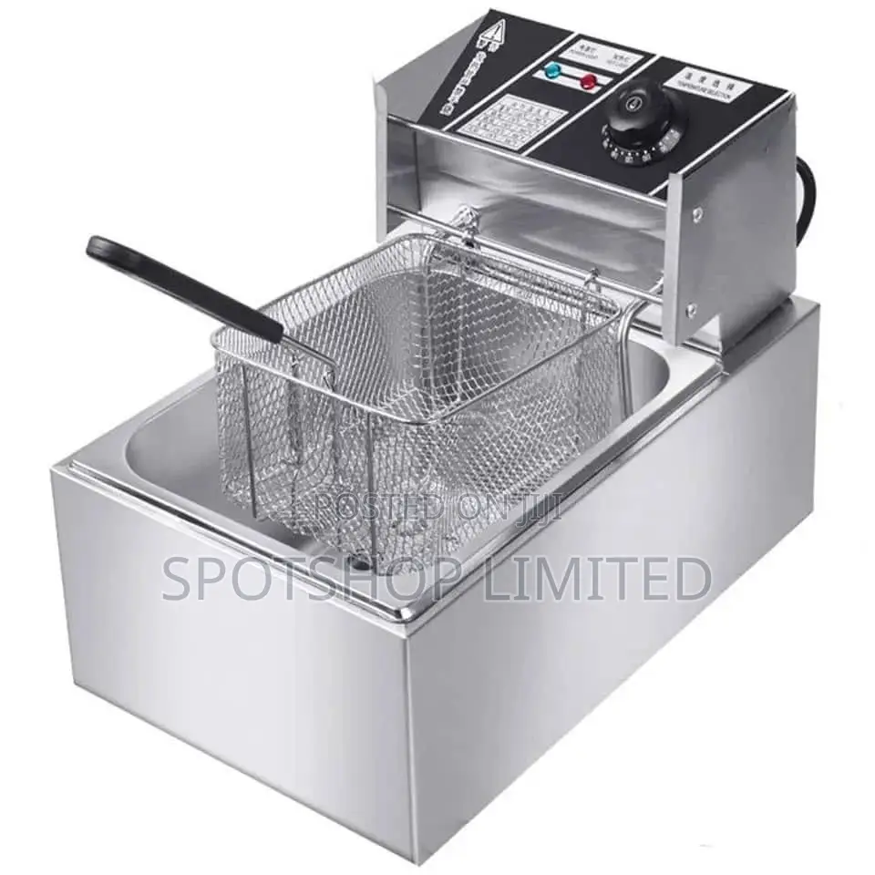 Electric Deep Fryer