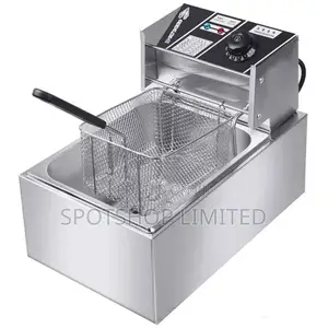 Electric Deep Fryer
