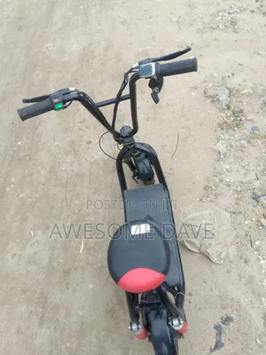 Electric Bike