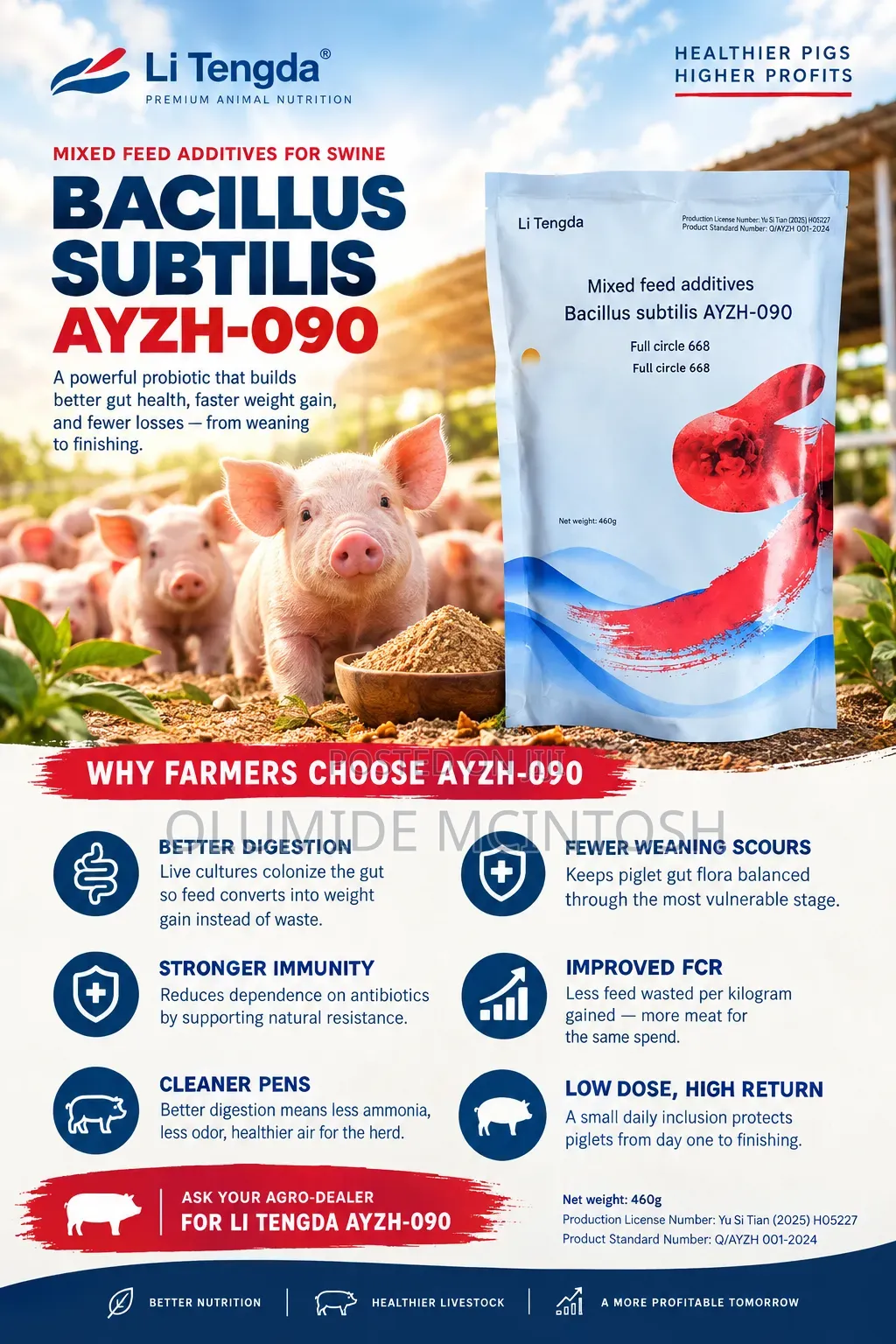 Probiotic (Bacillus Subtilis)