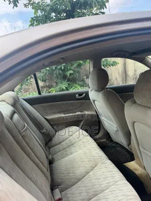 Hyundai Sonata 2008 Gray