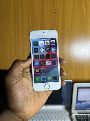 Apple iPhone 5s 16 GB Silver