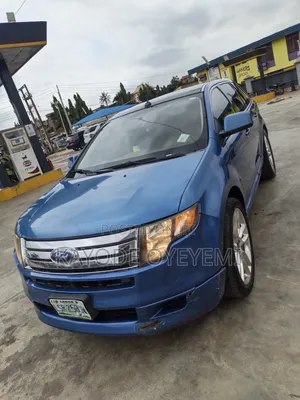 Ford Edge 2008 Blue
