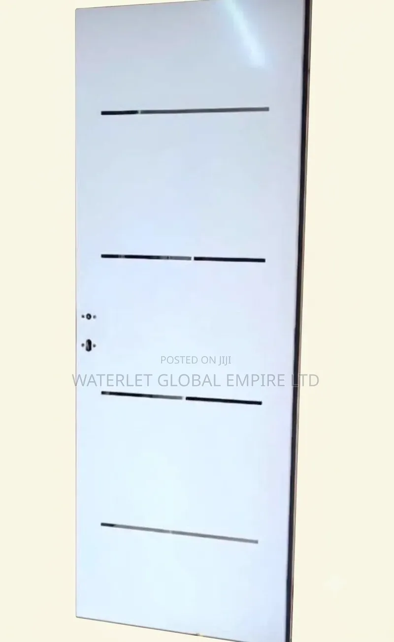 Israeli Metallic Inlay White Flush Door