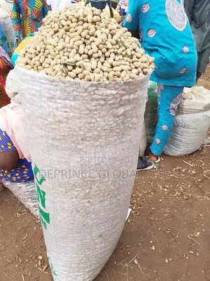 Bags of Ground Nut