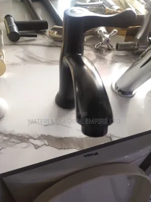 Matte Black Faucets or Mixers