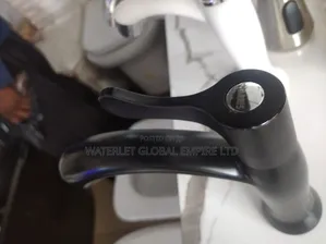 Matte Black Faucets or Mixers