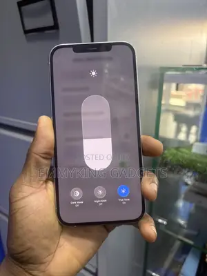 Apple iPhone 12 Pro Max 128 GB White