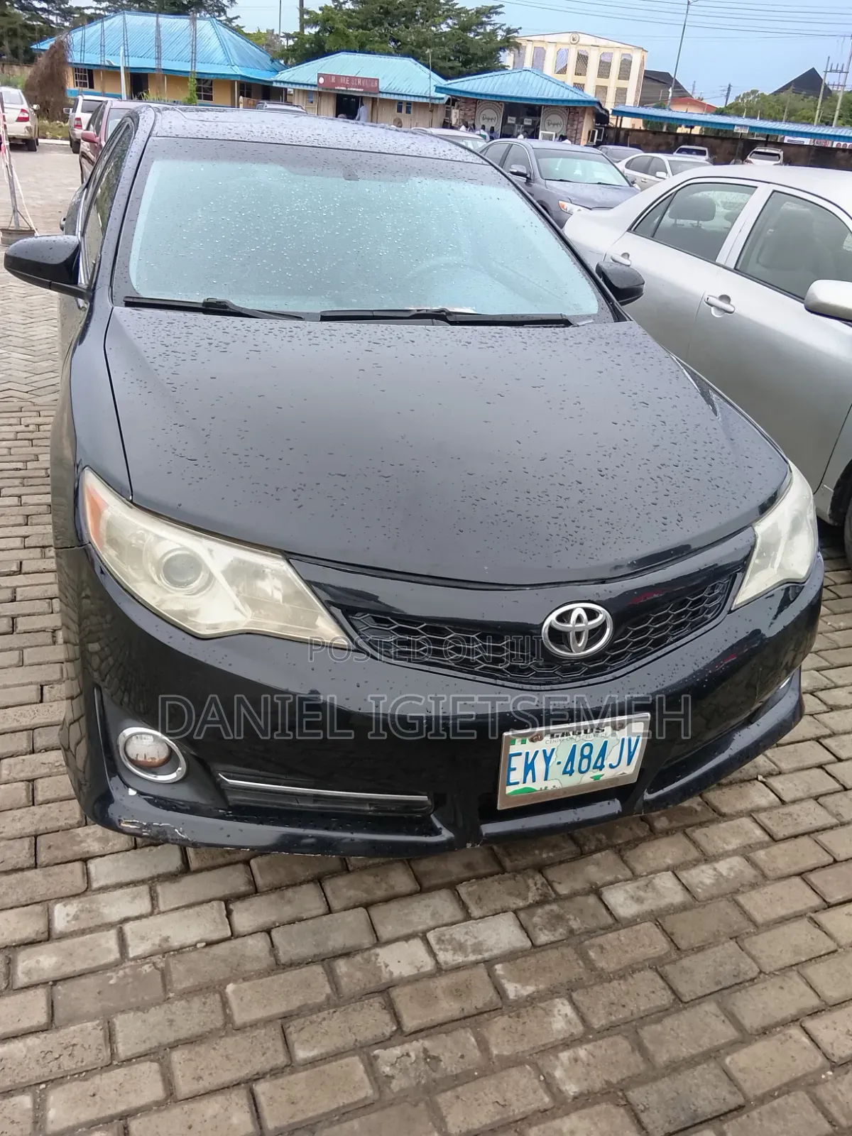 Car Rentals Services