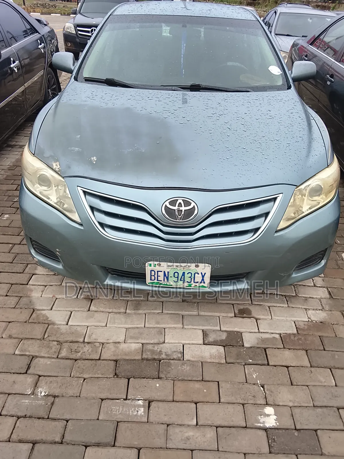 Car Rentals Services