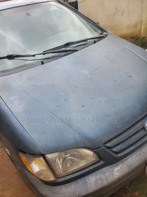 Toyota Sienna 2003 Blue