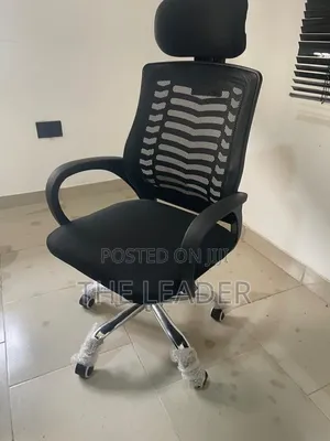 Ergonomic Office Chairs
