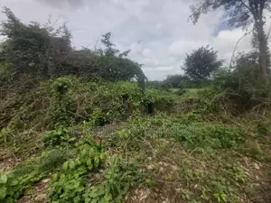 200 Acres of Land for Sale at Ido