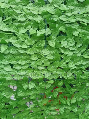 Quality Wall Mats