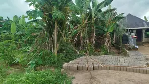 Omukwe Oparagwa,omagwa, Rivers State. Price Per Plot