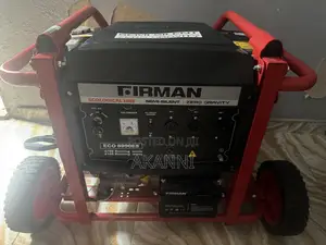 Firman Petrol Generator