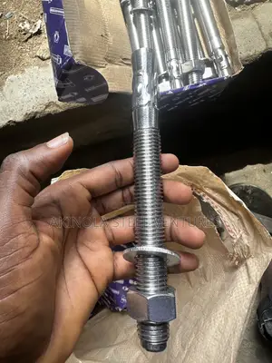 Stainless Anchor Bolt M20 (20mm) X200mm