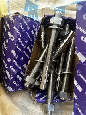 Stainless Anchor Bolt M20 (20mm) X200mm