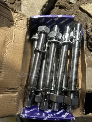 Stainless Anchor Bolt M20 (20mm) X200mm